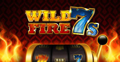 Lucky Bird wild fire 7